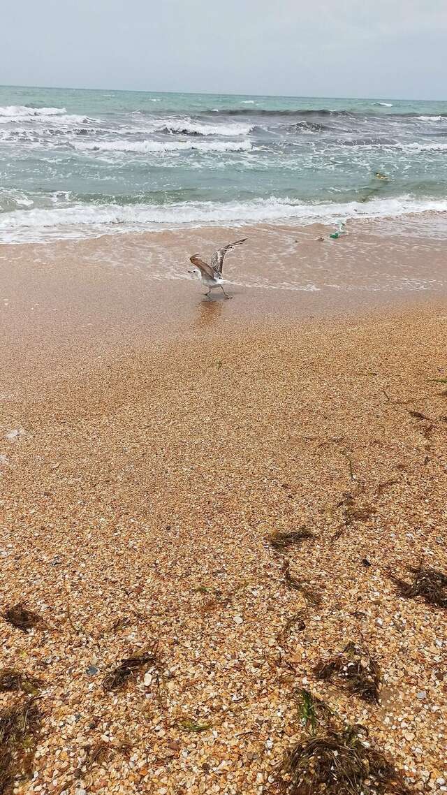 Гостиница Георгий Витязево-40